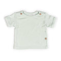 Shirt a costine