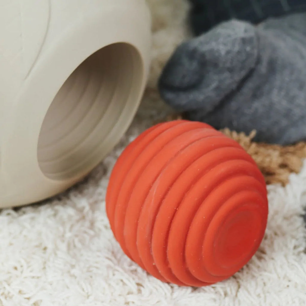 Big Sensory Balls +6m