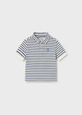 Polo Ippo